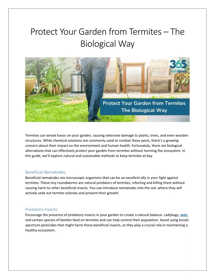 protect your garden from termites the biological