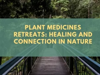 Plant Medicines Retreats Healing and Connection in Nature