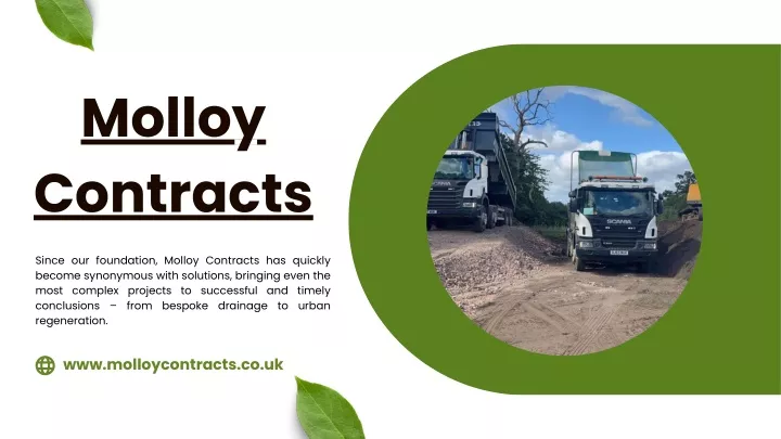 molloy contracts