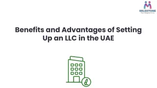 Benefits and Advantages of Setting Up an LLC in the UAE