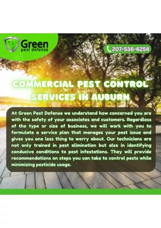 Commercial Pest Control Services In Auburn