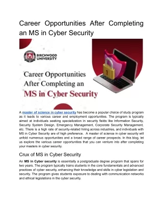 Career Opportunities After Completing an MS in Cyber Security