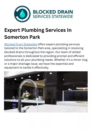 Expert Plumbing Services In Somerton Park