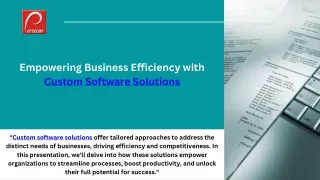 Empowering Business Efficiency with Custom Software Solutions