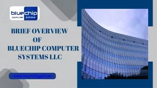 Bluechip Computer Systems LLC