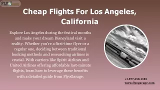 Get Set For Los Angeles Flight Specials ! FlyoGarage at  1-877-658-1183