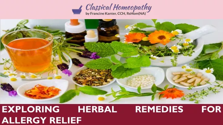 exploring herbal remedies for allergy relief