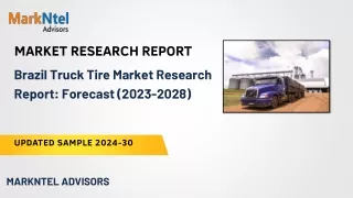 Brazil Truck Tire Market Research Report: Forecast (2023-2028)