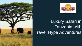 Luxury Safari in Tanzania with Travel Hype Adventures