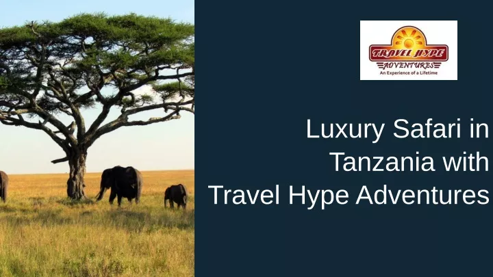 luxury safari in tanzania with travel hype