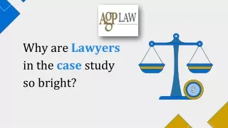 Why are Lawyers in the case study so bright