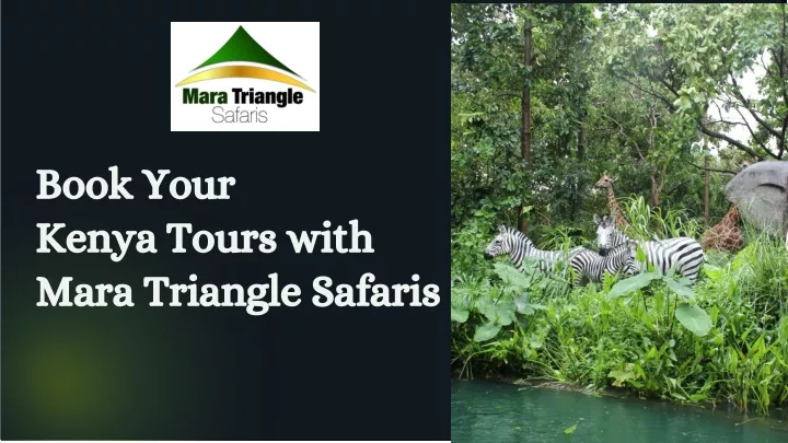 book your kenya tours with mara triangle safaris
