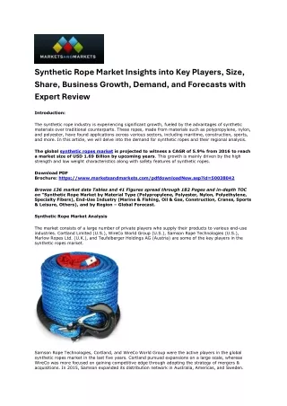 synthetic rope market insights into key players
