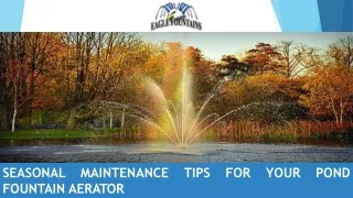 Seasonal Maintenance Tips for Your Pond Fountain Aerator