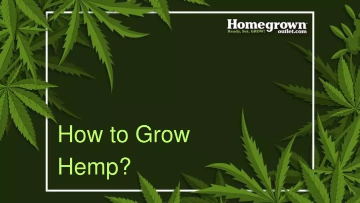 how to grow hemp