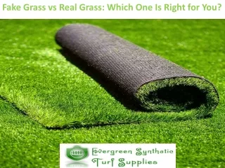 Fake Grass vs Real Grass: Which One Is Right for You?