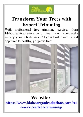 Transform Your Trees with Expert Trimming