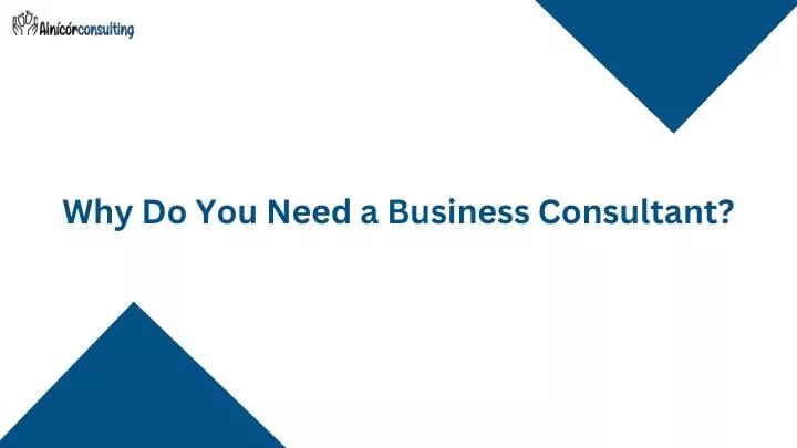 why do you need a business consultant
