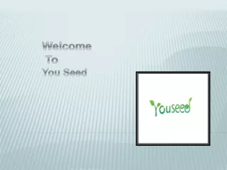 Language Learning | YouSeed