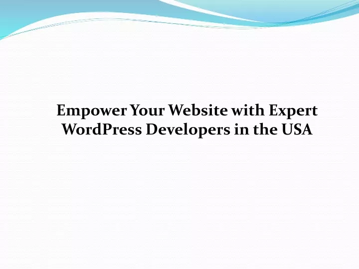 empower your website with expert wordpress