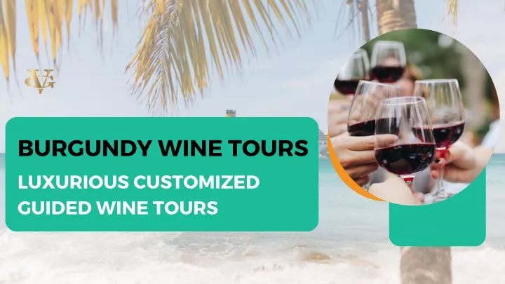 burgundy wine tours