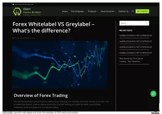 www_openforexbroker_com_forex-whitelabel-vs-greylabel-whats-the-difference_