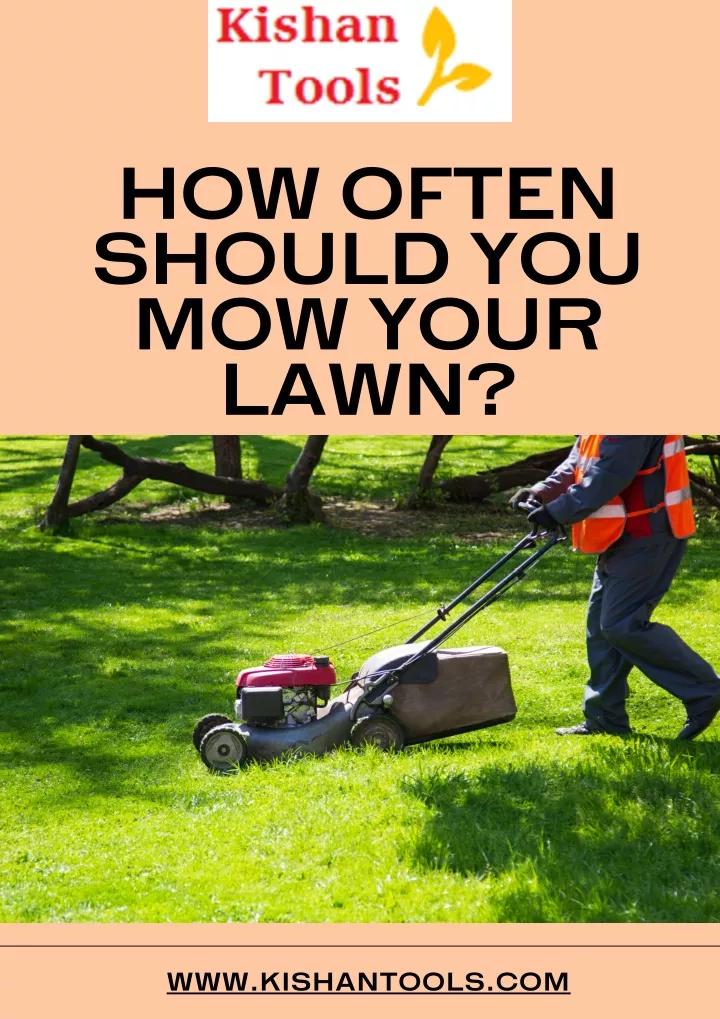 how often should you mow your lawn