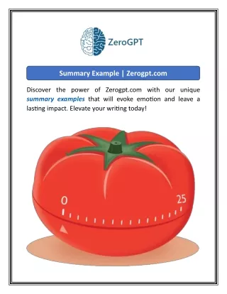 summary example zerogpt com