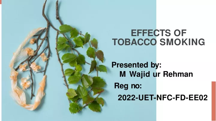 effects of tobacco smoking
