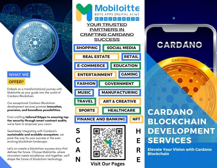 your trusted partners in crafting cardano success