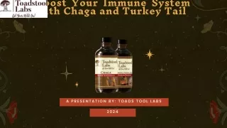 Boost Your Immune System with Chaga and Turkey Tail