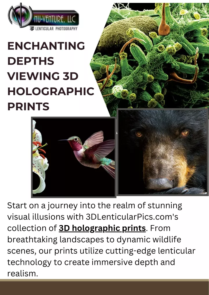 enchanting depths viewing 3d holographic prints