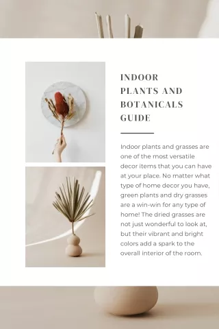 Indoor Plants and Botanicals Guide