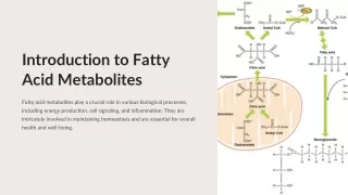 Exploring the Role of Fatty Acid Metabolites