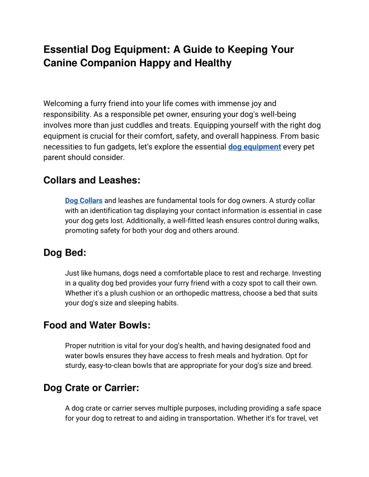 essential dog equipment a guide to keeping your