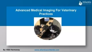 2-2-24 Advanced Medical Imaging For Veterinary Practices