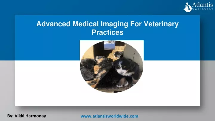advanced medical imaging for veterinary practices