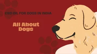 CBD Oil For Dogs In India