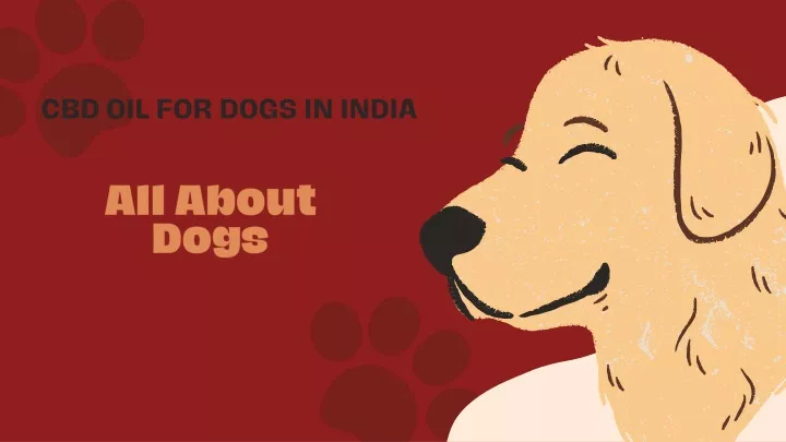 cbd oil for dogs in india