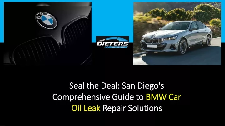 seal the deal san diego s comprehensive guide