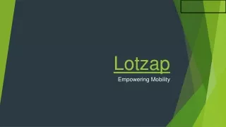 Lotzap Solutions: Best  iPad App Development services in Florida