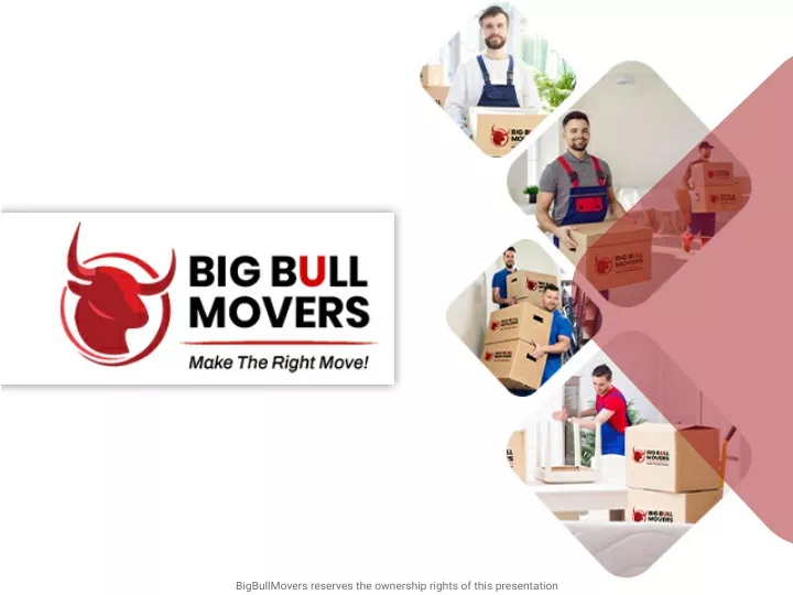 bigbullmovers reserves the ownership rights