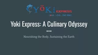Yoki Express A Culinary Odyssey