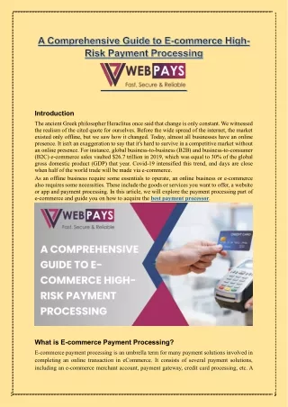 E-commerce High-Risk Payment Processing