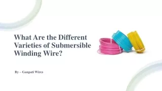 What Are the Different Varieties of Submersible Winding Wire?