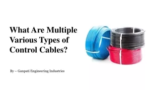 What Are Multiple Various Types of Control Cables?
