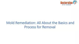 mold remediation all about the basics and process for removal