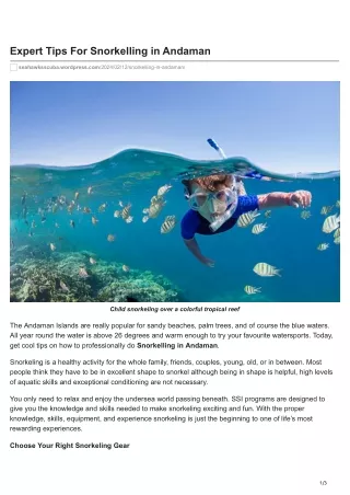 expert tips for snorkelling in andaman