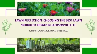 Choosing the Best Lawn Sprinkler Repair in Jacksonville FL