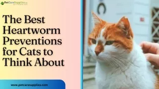 The Best Heartworm Preventions for cats to Think About | petcaresupplies|
